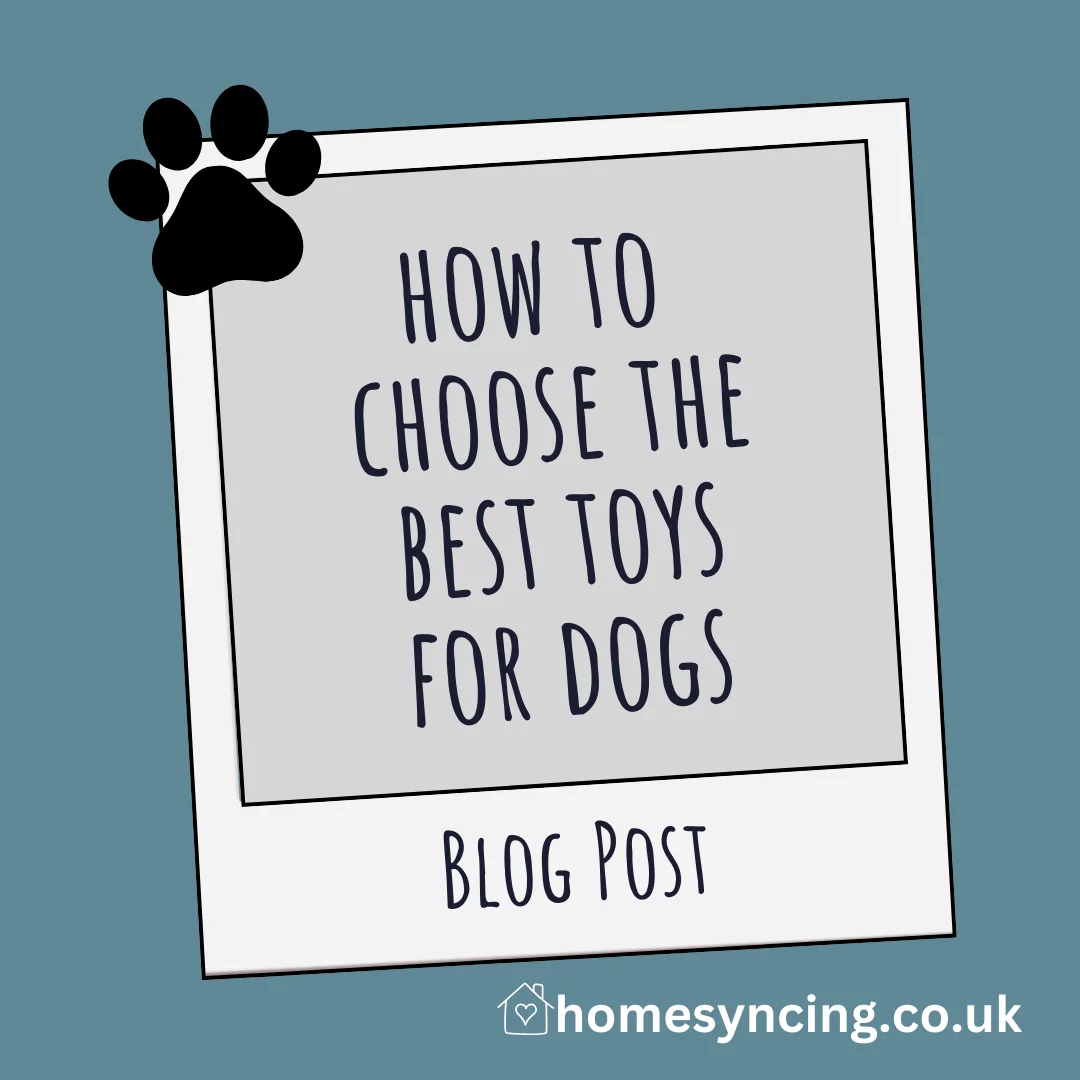 How to choose the Best Toys for Dogs