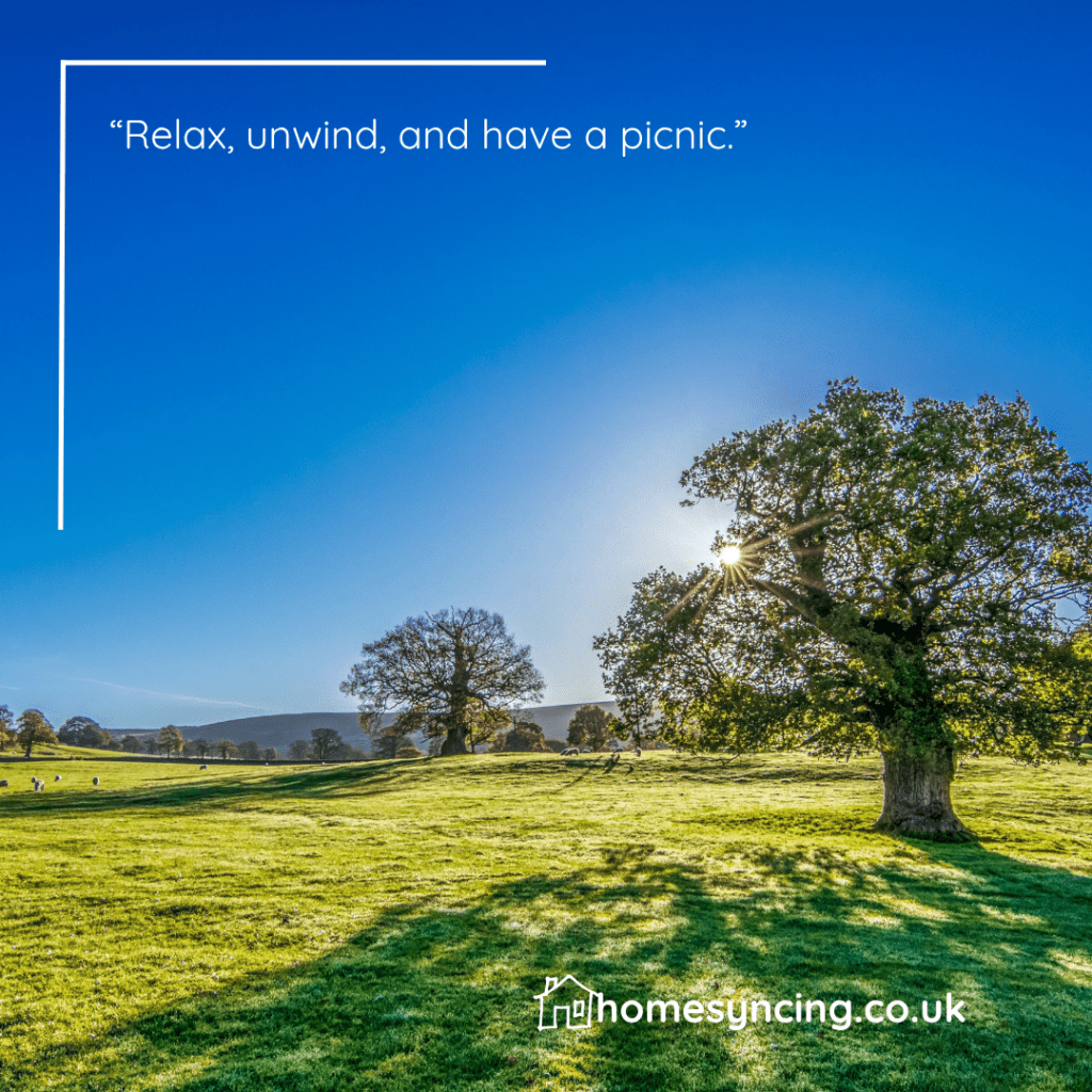 Relax, Rewind and have a Picnic.
image of a sunny day - blue skies and sunshine, field with trees in view.