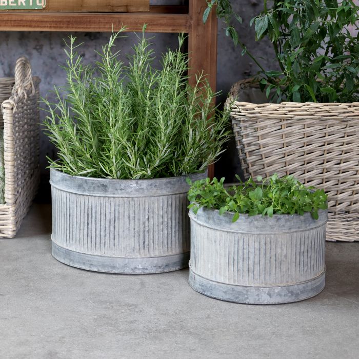 Galvanised metal planters filled with fresh herbs, styled alongside woven baskets and leafy plants.